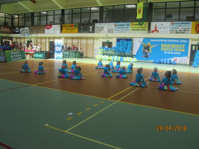 turta 533